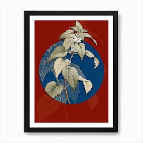 Vintage Botanical White Dead Nettle Plant on Circle Blue on Red n.0247 Art Print