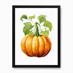 Turban Squash Pumpkin Watercolour Illustration 1 Art Print