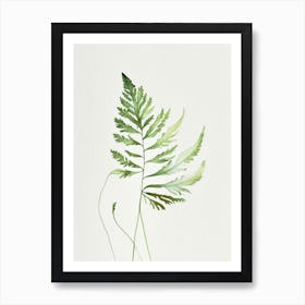 Sweet Cicely Leaf Minimalist Watercolour Art Print