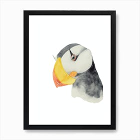Bird puffin Art Print