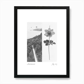 Anemone Botanical Collage 3 Art Print
