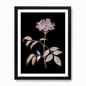 Stained Glass Elderflower Tree Mosaic Botanical Illustration on Black n.0214 Art Print