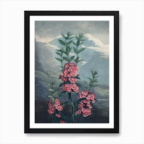 Vintage Thornton 3 Narrow Kalmia Art Print