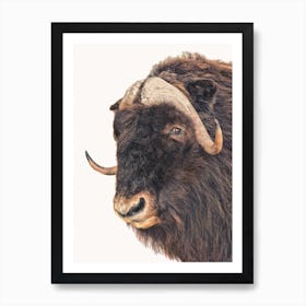 Animal II Art Print