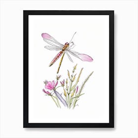 Dragonfly On Flower Pencil Illustration 1 Art Print