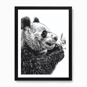 Giant Panda Sniffing A Flower Ink Illustration 3 Art Print