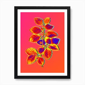 Neon European Beech Botanical in Hot Pink and Electric Blue n.0178 Art Print