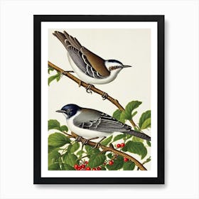 Mockingbird James Audubon Vintage Style Bird Art Print