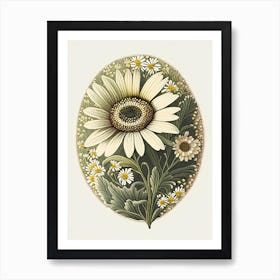 Daisy Wildflower Vintage Botanical 1 Art Print