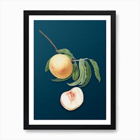 Vintage Duracina Peach Botanical Art on Teal Blue n.0930 Art Print