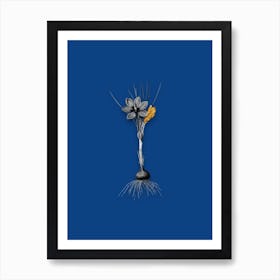 Vintage Crocus Sativus Black and White Gold Leaf Floral Art on Midnight Blue n.0798 Art Print