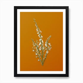 Vintage White Broom Botanical on Sunset Orange n.0226 Art Print