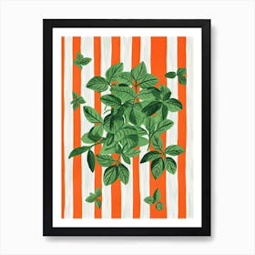 Basil Summer Illustration 12 Art Print