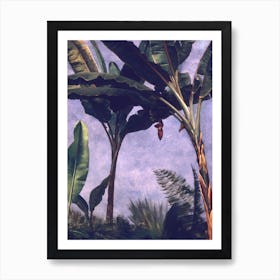 Banana Trees, Albert Bierstadt Art Print