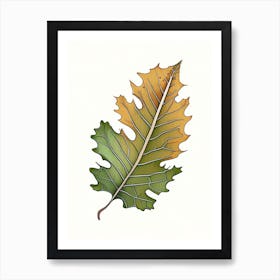 Oak Leaf Warm Tones 2 Art Print