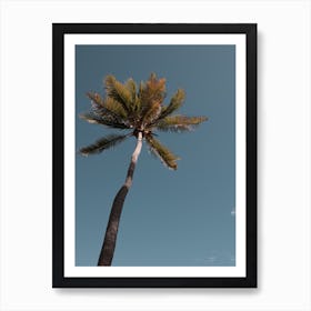 Lone Palm Art Print