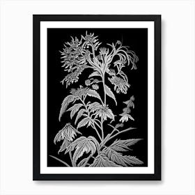 Black Snakeroot Wildflower Linocut 1 Art Print