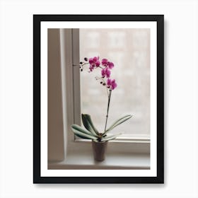 Orchid Art Print