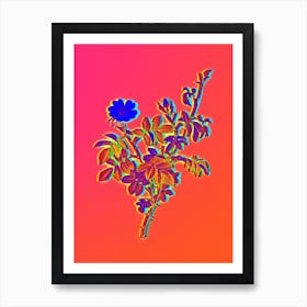 Neon White Downy Rose Botanical in Hot Pink and Electric Blue Art Print