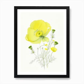 Buttercup Floral Quentin Blake Inspired Illustration 1 Flower Art Print