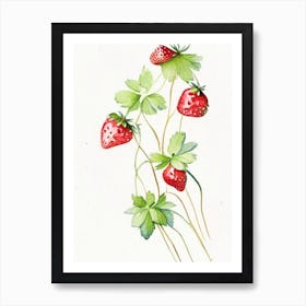 Alpine Strawberries, Plant, Minimalist Watercolour 1 Art Print