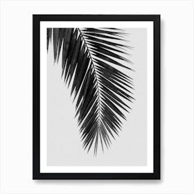 Palm Leaf Black & White I Art Print