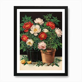 Peonies In Pots Art Print