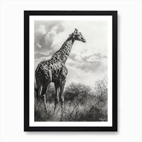 Giraffe In The Grass Pencil Drawing 8 Art Print