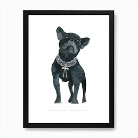 Französische Bulldogge Kunstprint für Wohnzimmer minimalistisch