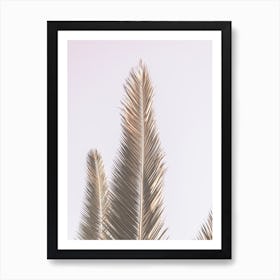 Phoenix Palm Art Print