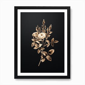 Gold Botanical Mossy Pompon Rose on Wrought Iron Black n.0899 Art Print