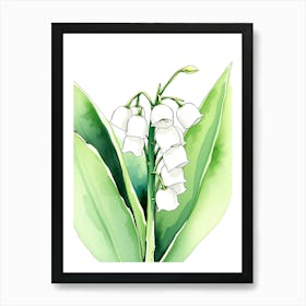 Lily Of The Valley Watercolor 1 Art Print