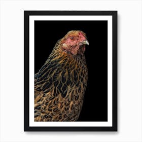 Proud Chicken Art Print