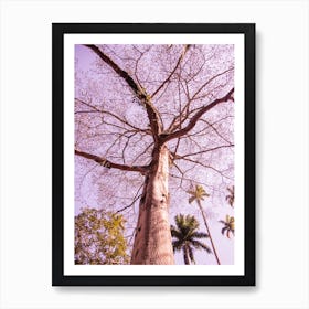 Tree In Pink Art Print