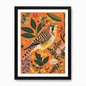 Spring Birds American Kestrel 4 Art Print