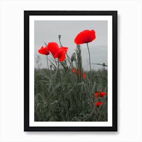 Red Poppies photo art photorgaphy grey gray floral flower nature color calm muted vertical kitchen living room Art Print