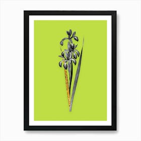 Vintage Blue Iris Black and White Gold Leaf Floral Art on Chartreuse n.0131 Art Print