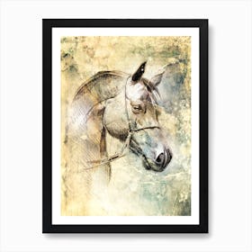 Horse Drawing Art Illustration In A Photomontage Style 34 Art Print