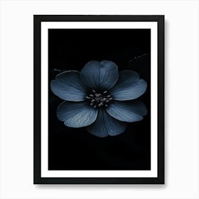 Dark Blue Flower 5 Art Print