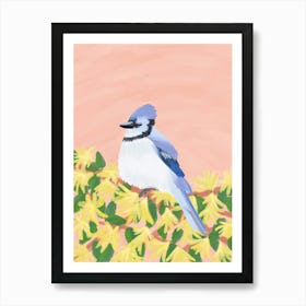 Blue Jay  Art Print