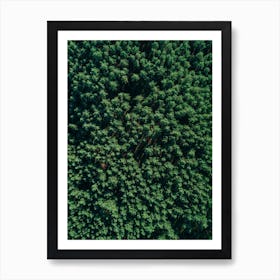 Tree Pattern Art Print