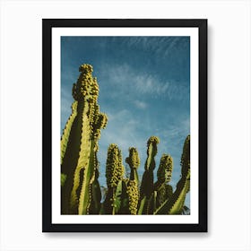 Reach For The Sky Art Print