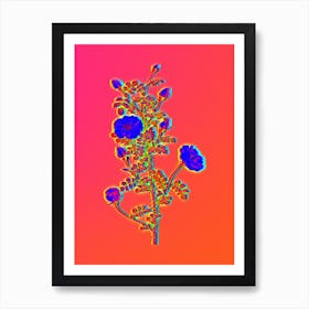 Neon Pink Scotch Briar Rose Botanical in Hot Pink and Electric Blue n.0297 Art Print