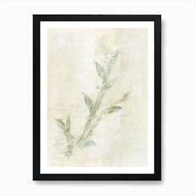 Spellbinding No3  - Abstract Leaf Branch Painting Art Print