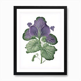 Sweet Violet Leaf Vintage Botanical 2 Art Print
