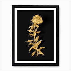 Vintage Yellow Wallflower Bloom Botanical in Gold on Black n.0298 Art Print