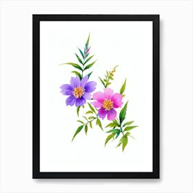 Cypress Watercolour Flower Art Print