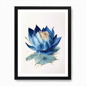 Blue Lotus Watercolour Ink Pencil 4 Art Print