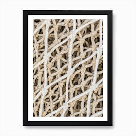 Close Up Of A Fishing Net maritime Art Print