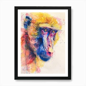 Baboon Colourful Watercolour 4 Art Print